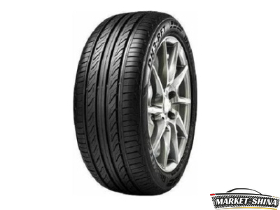 Delinte DH3 205/45 R17 84V