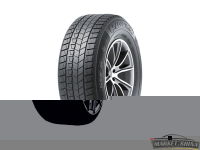 Gripmax SureGrip Pro Winter 255/40 R20 101V