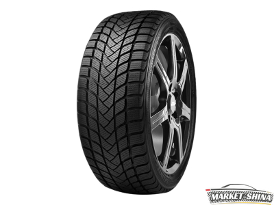Delinte Winter WD6 195/55 R16 87H