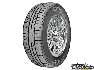 Gripmax Stature H/T 255/40 R20 101W